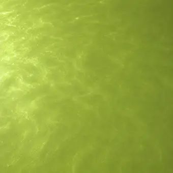 Olive metallic epoxy color swatch